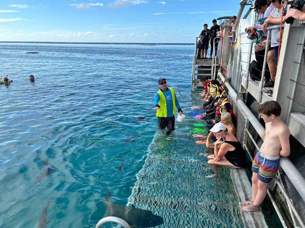 Great Adventures - Snorkel Platform