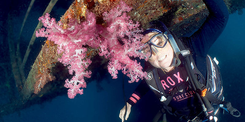 great barrier reef soft corals