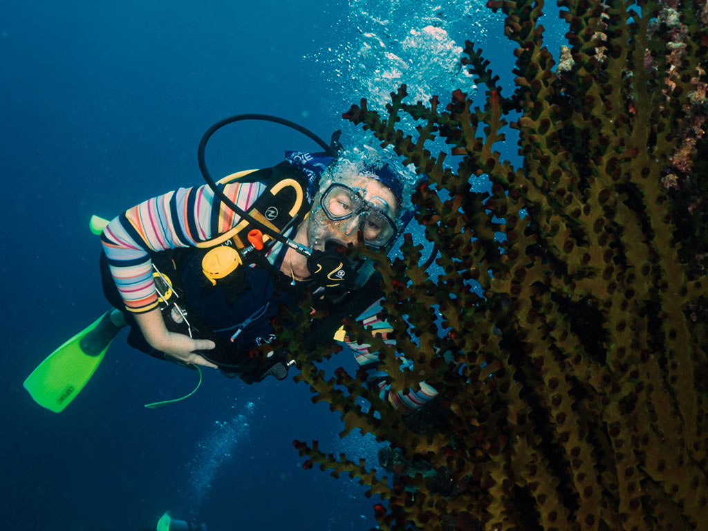 Green Coral Silverswift