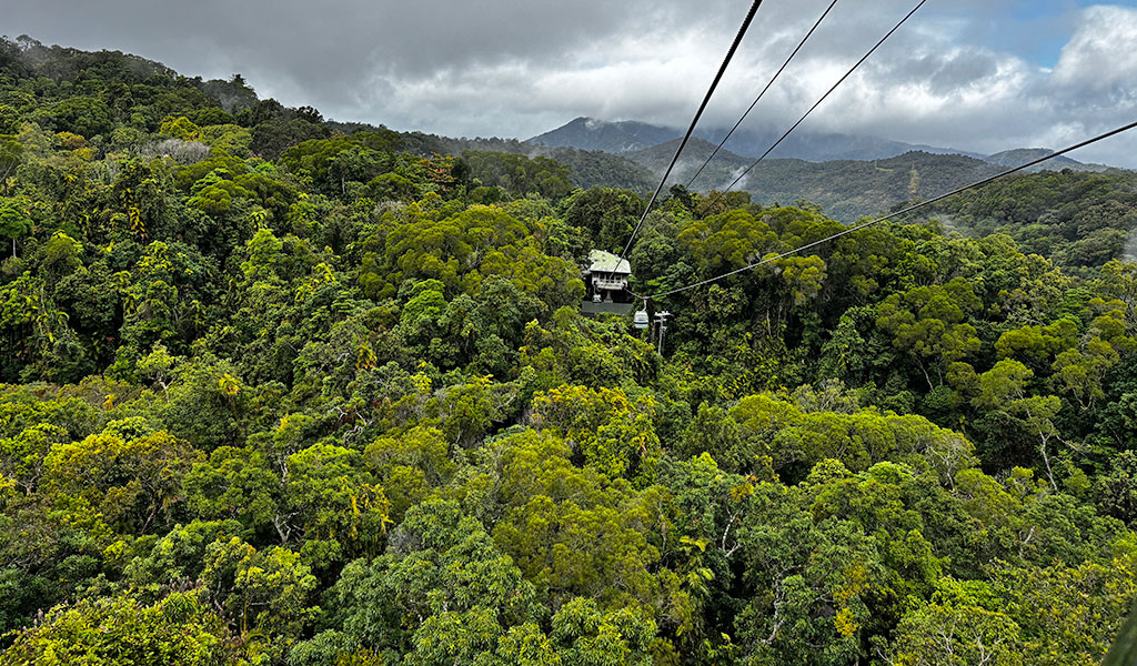 Kuranda to Barron Falls Loop
