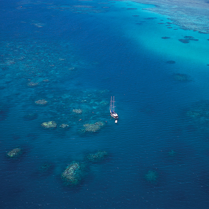 Ocean Free Tour -  Drone