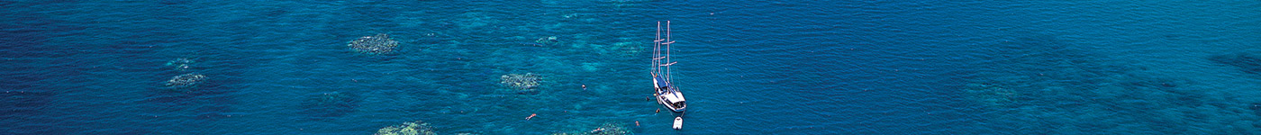 Ocean Free Tour - Green Island