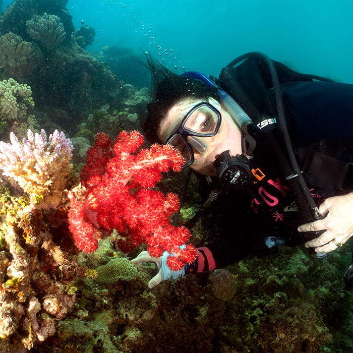 Ocean Free Tour -  Intro Dive