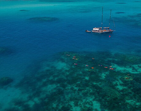Snorkeling - Ocean Free 