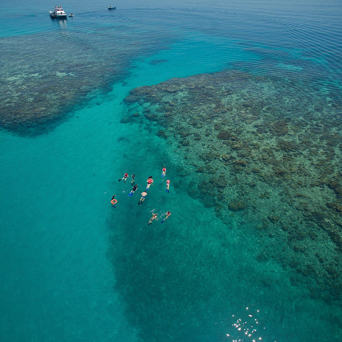Ocean Freedom Tour - Adventure Snorkel
