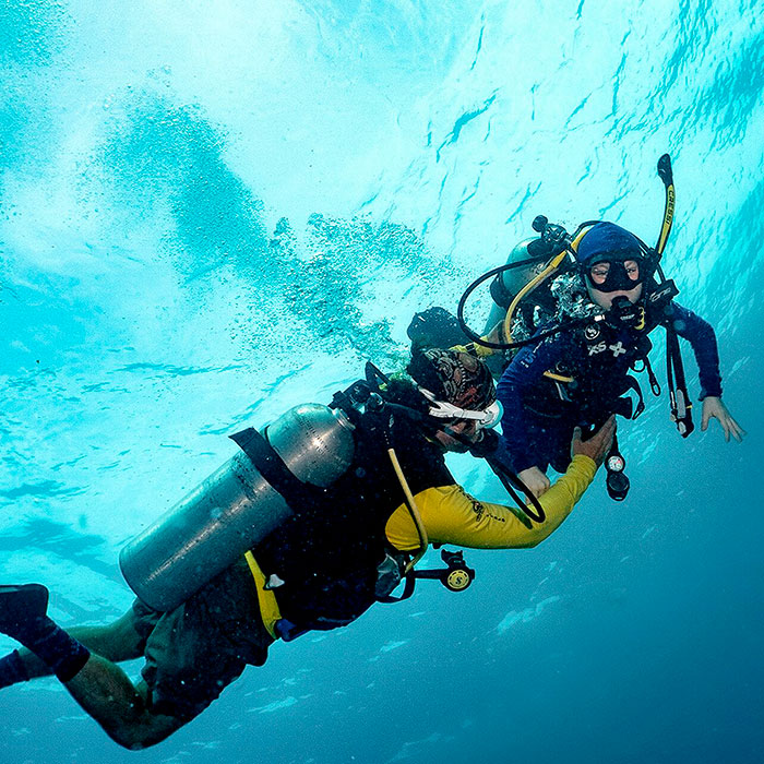 Ocean Freedom Tour - Cert Diving
