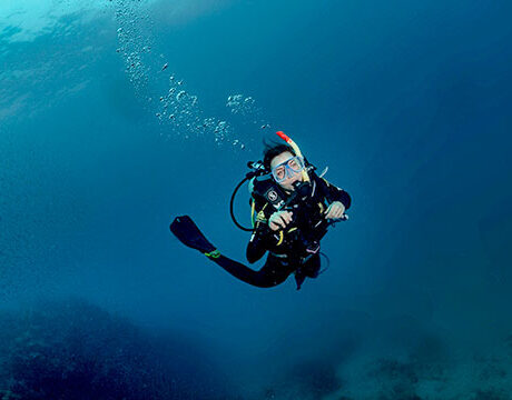 Scuba Diving - Ocean Freedom