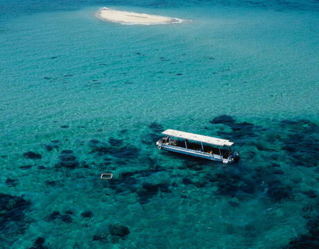 Glass Bottom Boat - Ocean Freedom