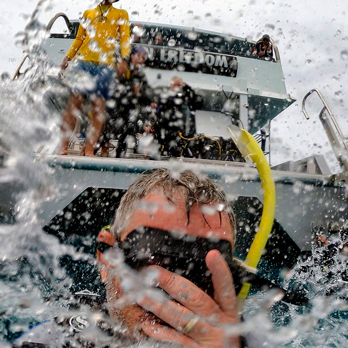 Ocean Freedom Tour - Entry