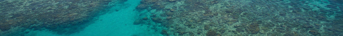 Ocean Freedom Tour - Reef