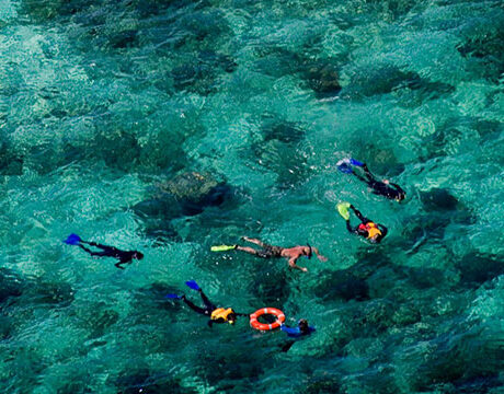 Snorkeling - Ocean Freedom