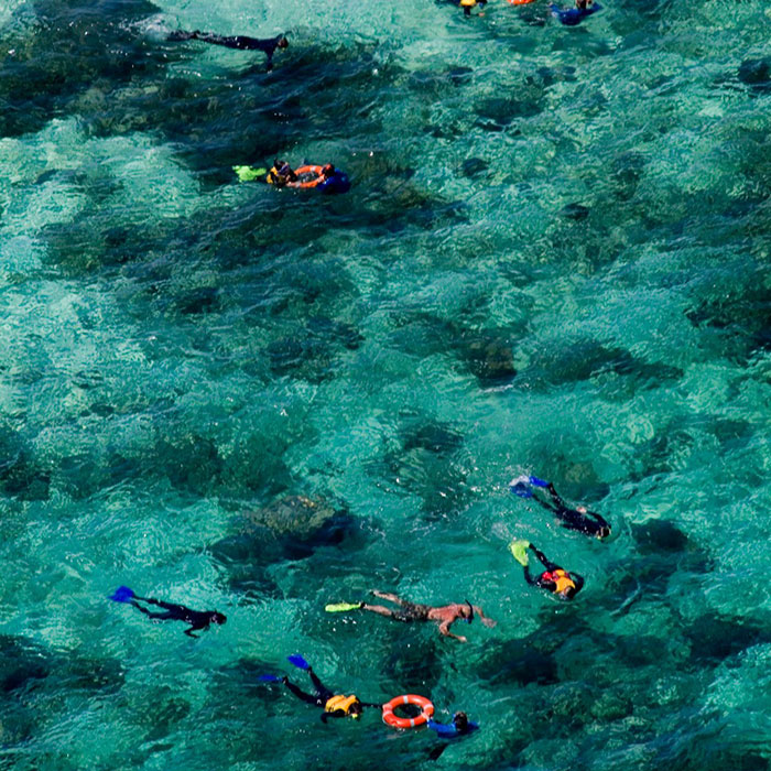 Ocean Freedom Tour - Snorkelling