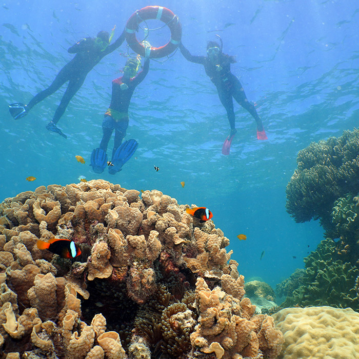 Ocean Spirit Tour - Reef
