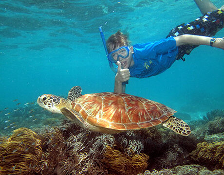 Snorkeling - Ocean Spirit Cruises