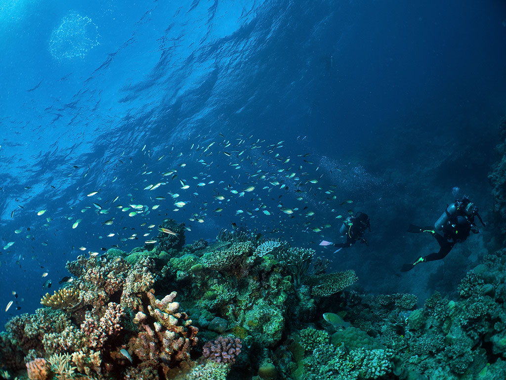 OceanQuest Review - Dive Sites