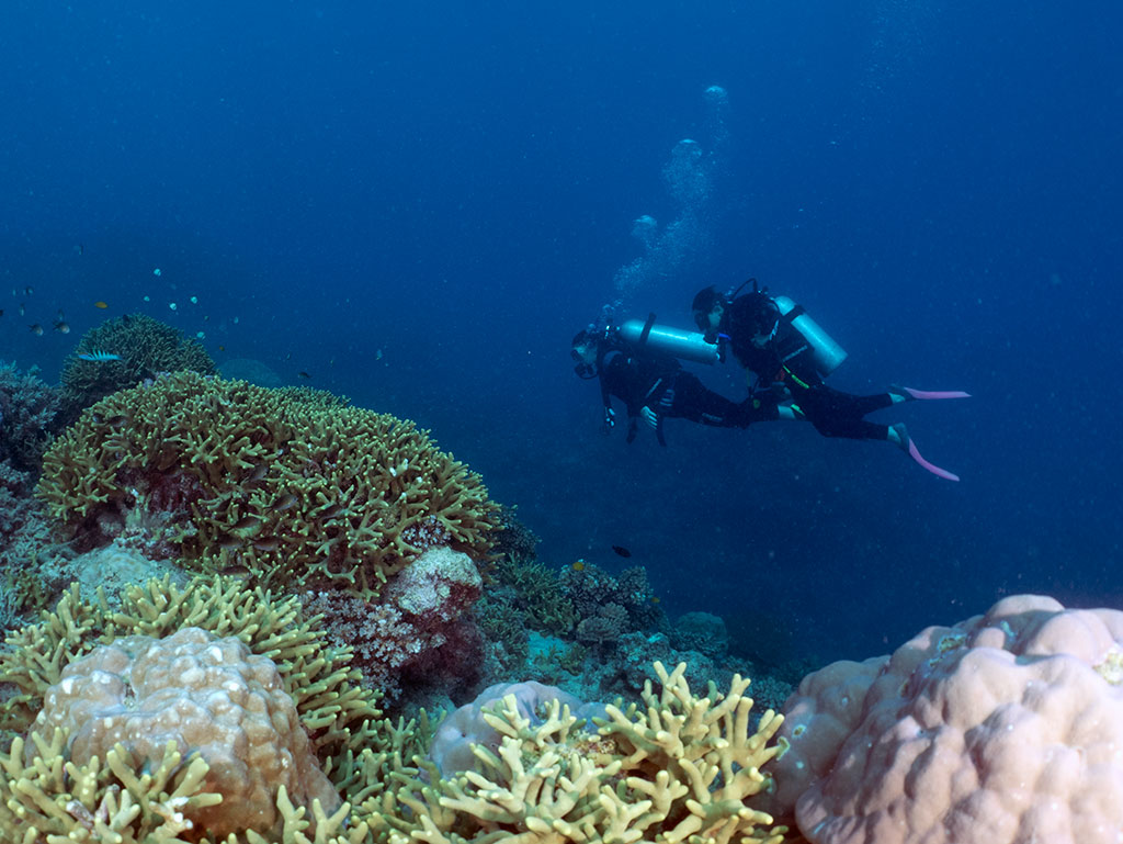 OceanQuest Review - Diving