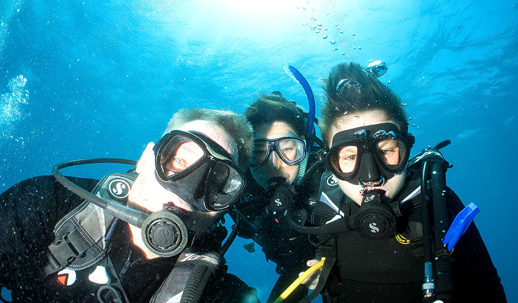 OceanQuest Review - Family
