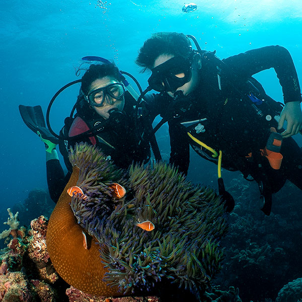 OceanQuest Review - Nemo