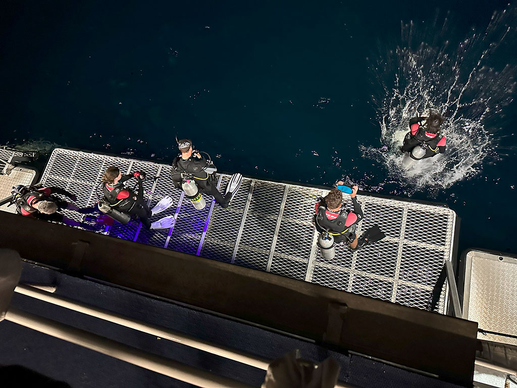 OceanQuest Review - Night Dive
