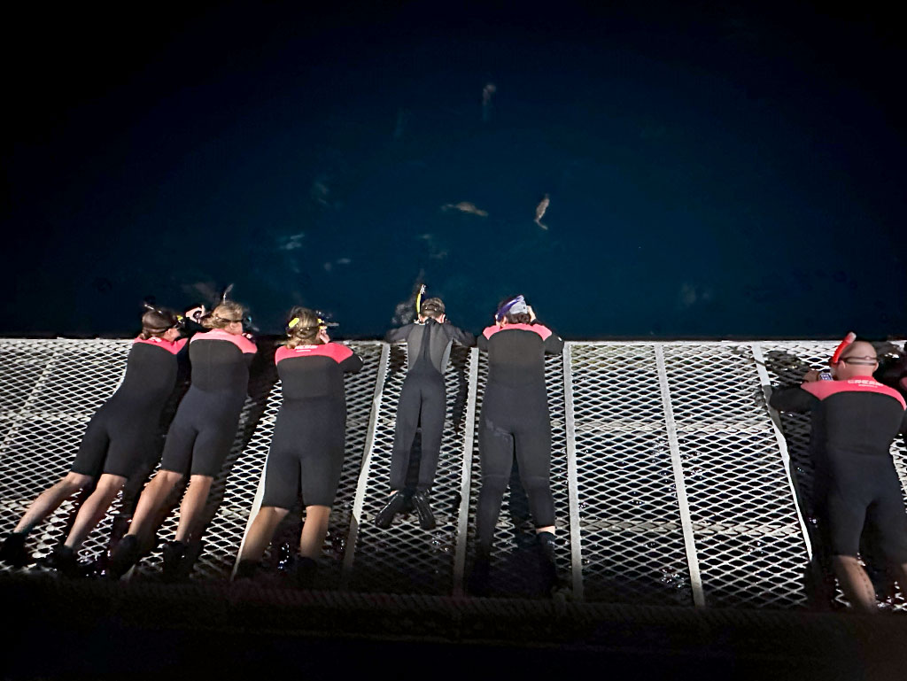 OceanQuest Review - Sharks in Dark