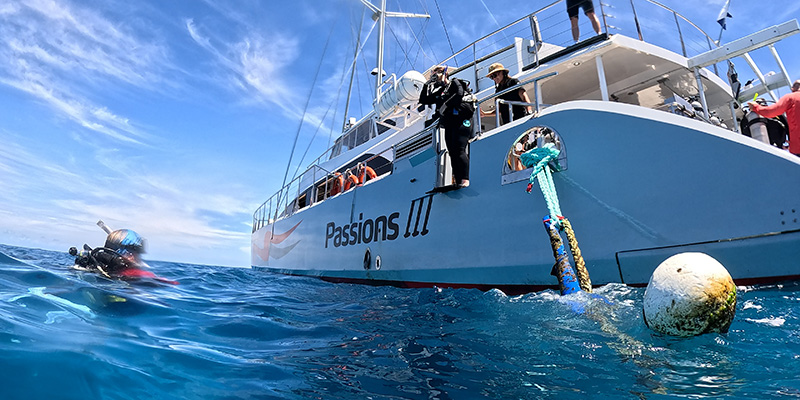 passions 2025 featured image 2