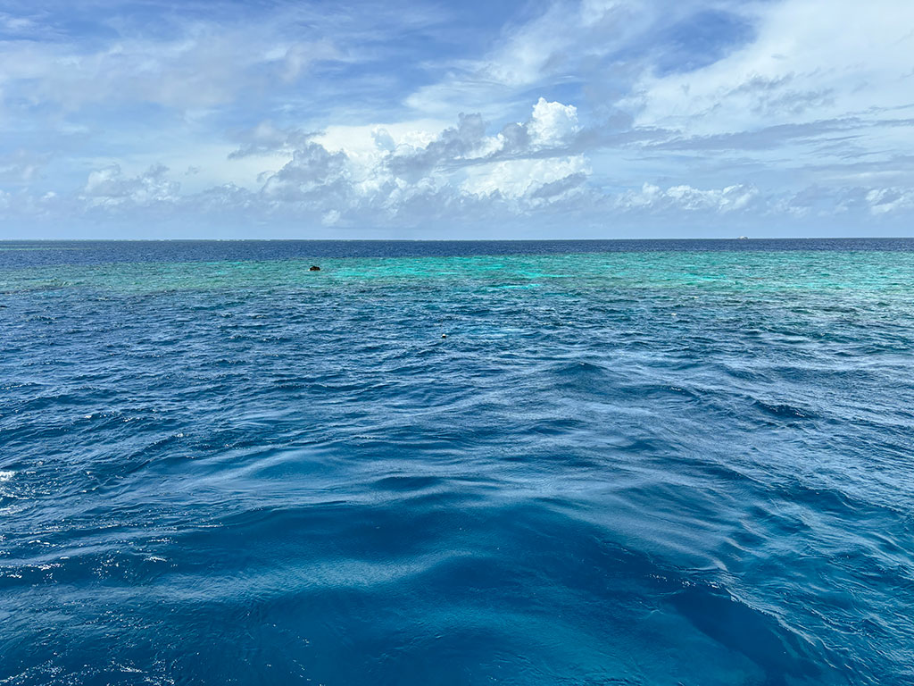 Port Douglas Reefs