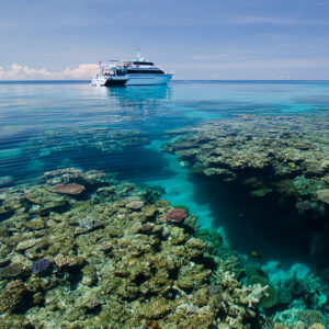 Pro Dive Cairns Liveaboard Dive Trips thumbnail