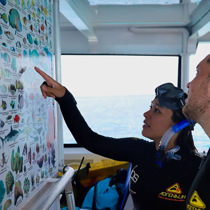 Pure Snorkelling Cairns - Fish ID Chart