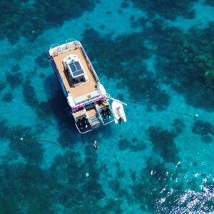 Pure Snorkelling Cairns 