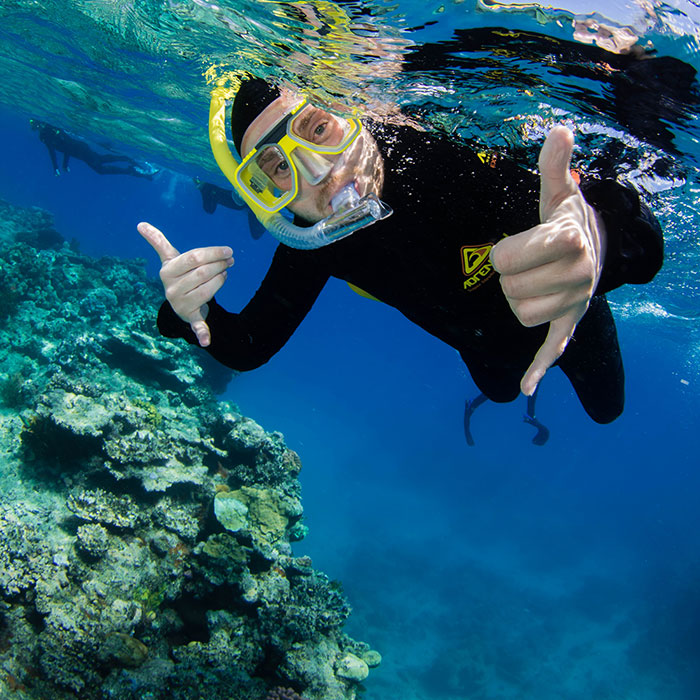Pure Snorkelling Cairns - Snorkeller