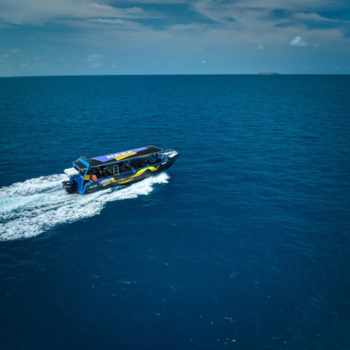 Reef Adventures Cairns - Madmax