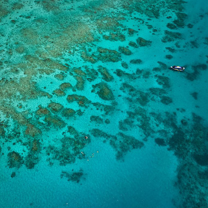 Reef Adventures Cairns - Upulo