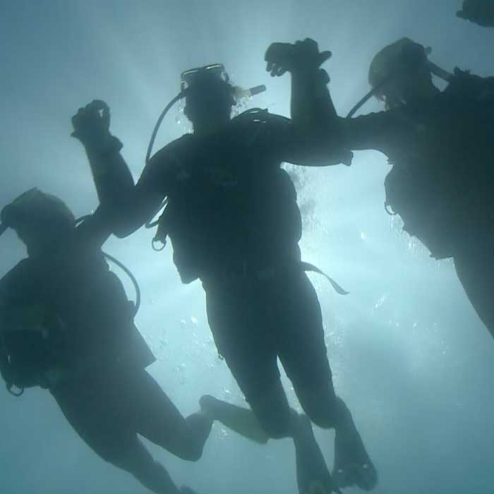 Reef Daytripper Tour - Intro Dive