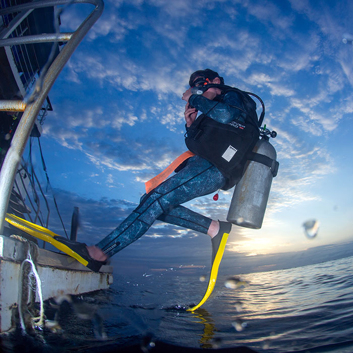 Reef Encounter Review - Ethan J