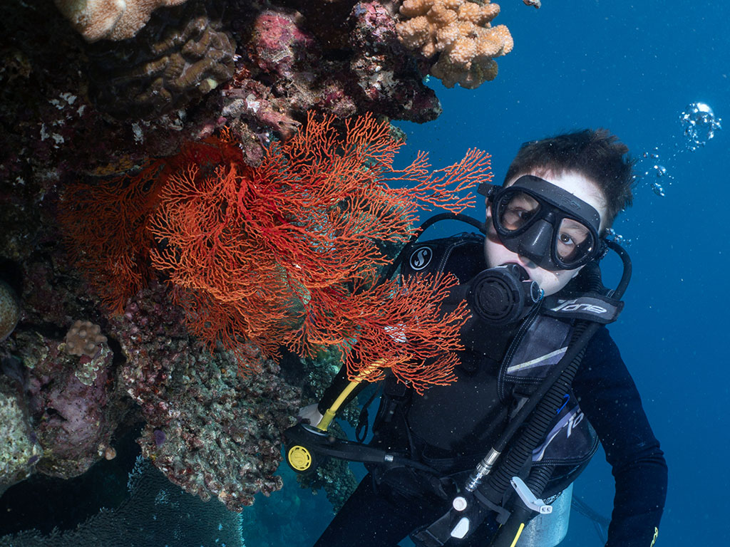 Sea Fan, Cairns Outer Reef