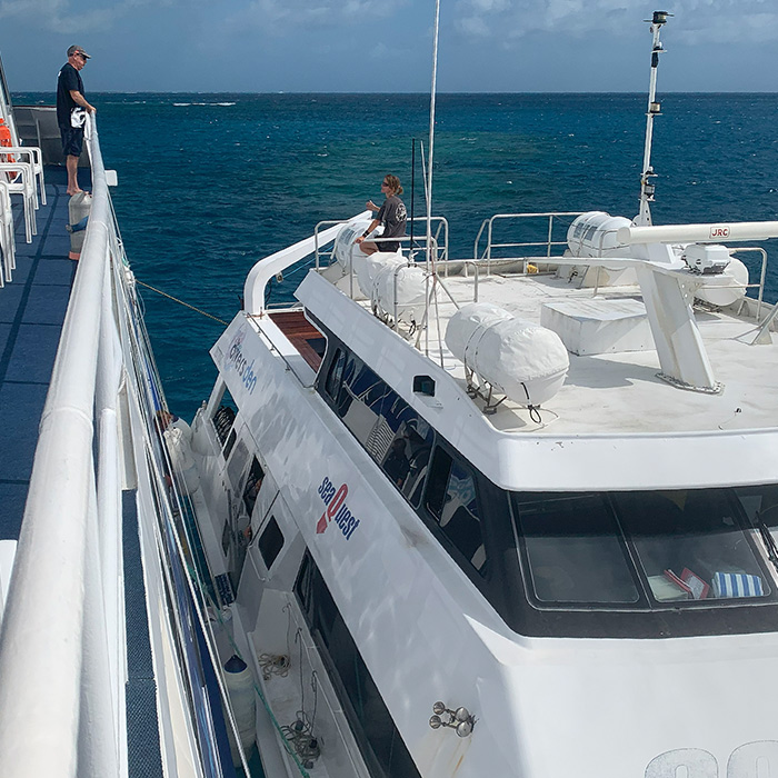 seaquestgallery (10)