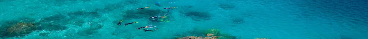 Silversonic Tour - Snorkel