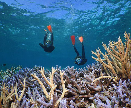 Snorkeling - Silversonic - Quicksilver
