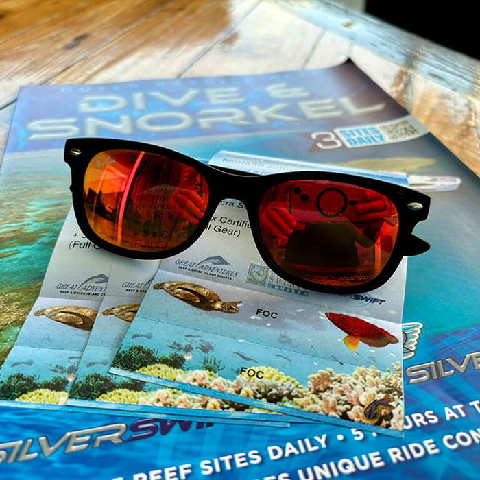 Silverswift Tour - Brochure