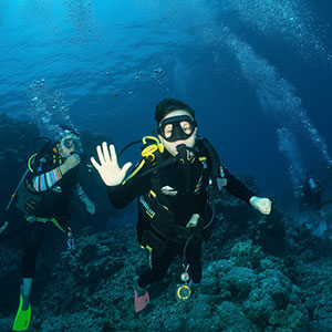 Silverswift Tour - Diving Kid