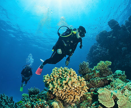 Scuba Diving - Silverswift – Quicksilver