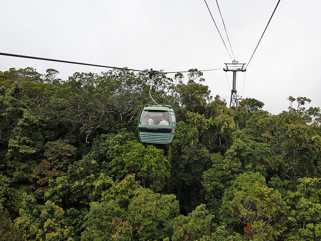 Skyrail cabins over rainforest