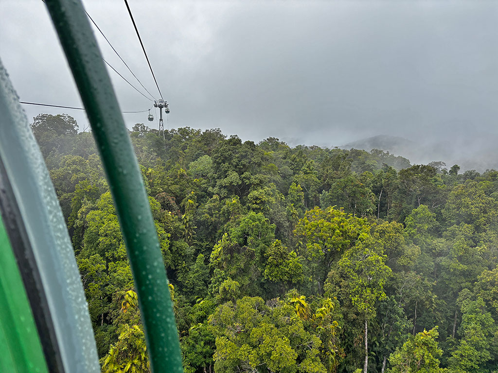 Skyrail gondola with view