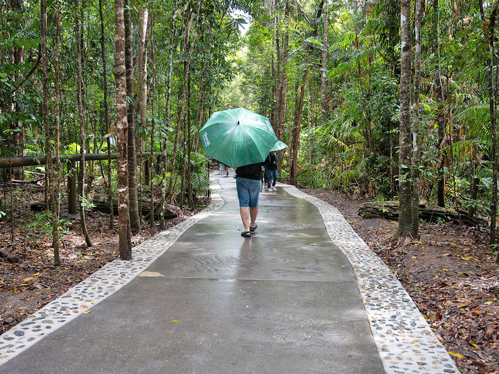 Skyrail in the rain