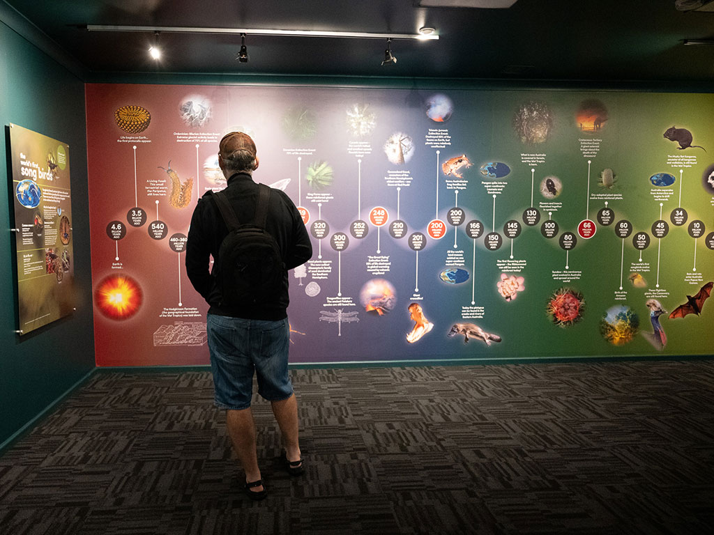 Skyrail Interpretation Centre