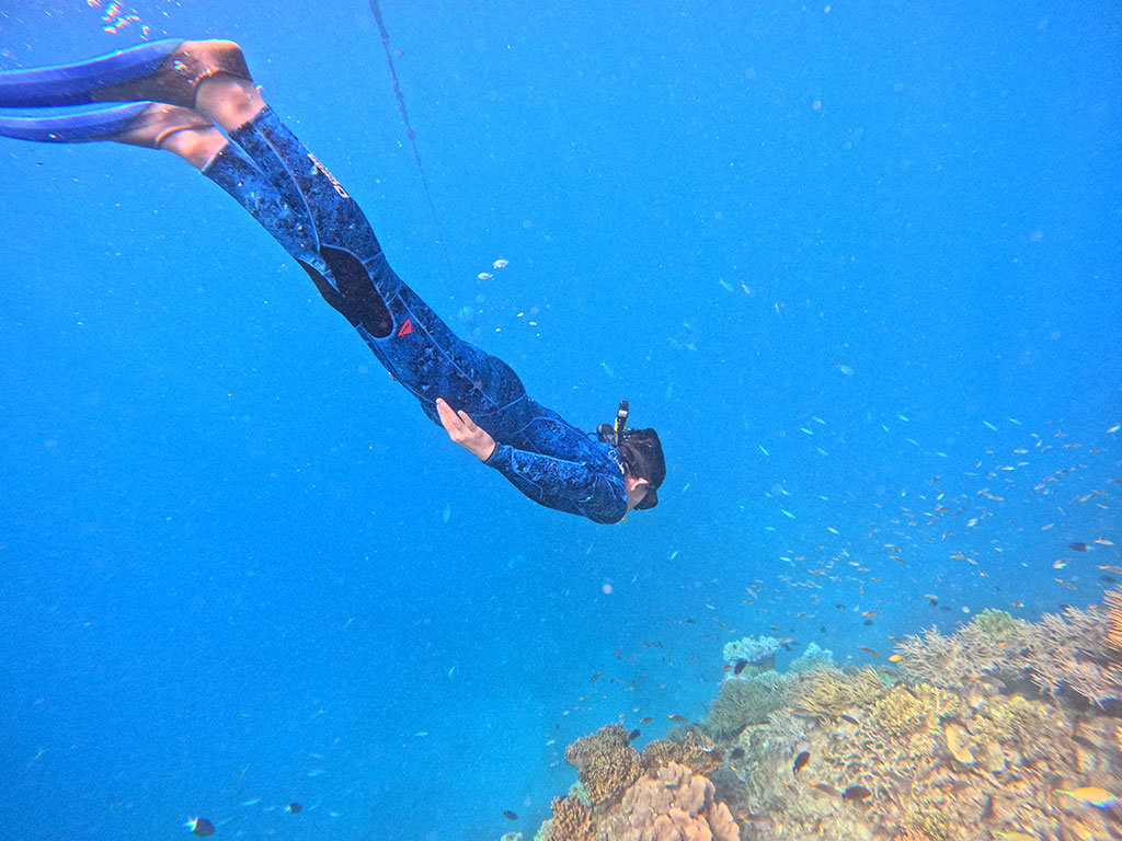 Snorkelling At Moore Reef