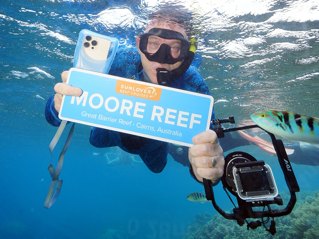 Snorkelling Sunlover Reef Cruises