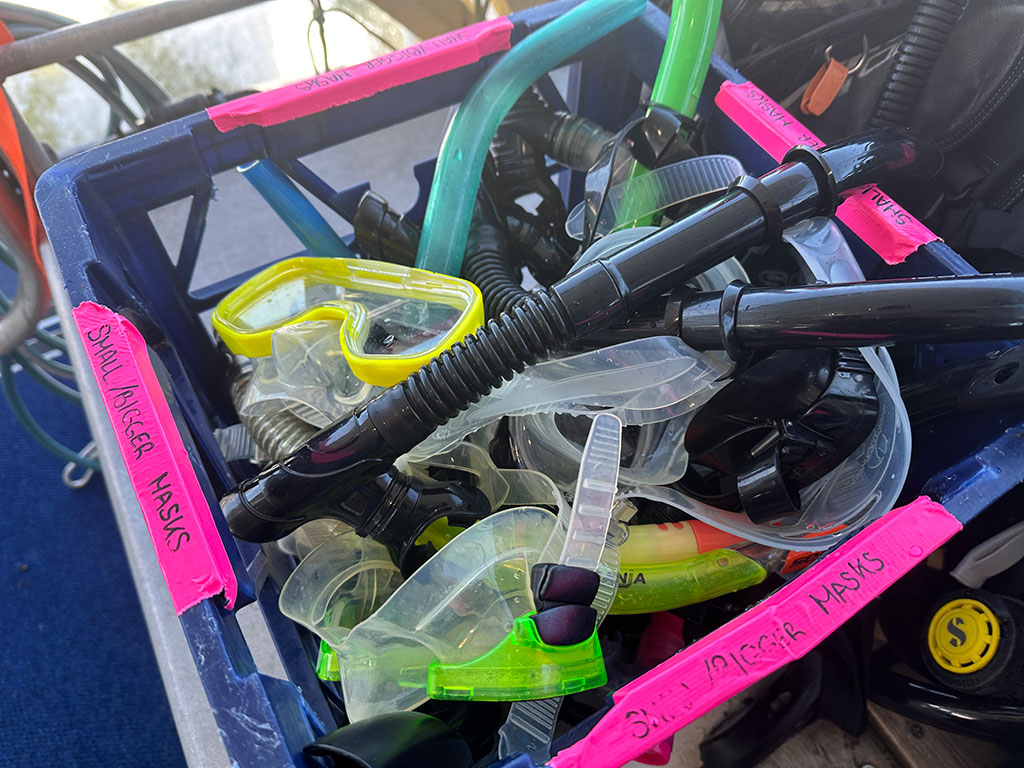 Snorkels and Masks AquaQuest