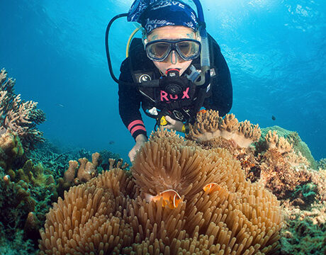 Scuba Diving - Sunlover Reef Cruises