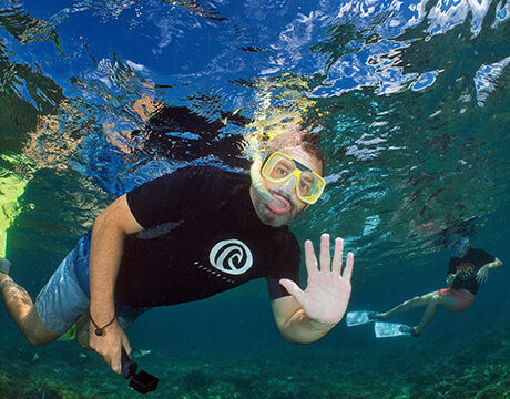 Snorkeling - Sunlover Reef Cruises